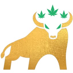 10th Street Cannabis Co. logo