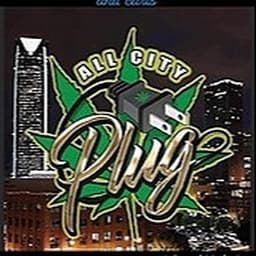 All City Plug Downtown logo