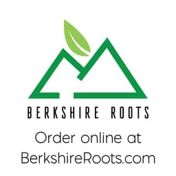 Berkshire Roots - Medical Pittsfield logo