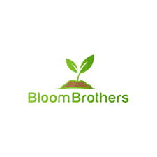 Bloom Brothers - Pittsfield logo