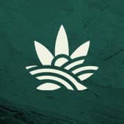 Bloomery Cannabis - New Buffalo logo