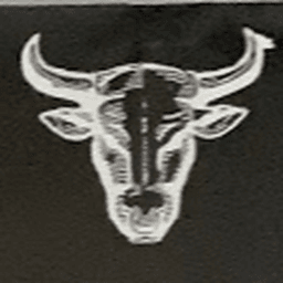 BULLSEYE NATURAL REMEDIES logo