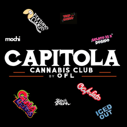 Capitola Cannabis Club By OFL - Capitola logo