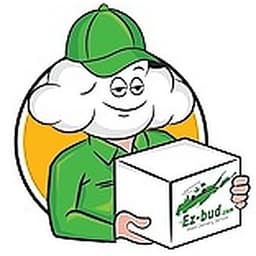 EZ Bud Cannabis Store logo