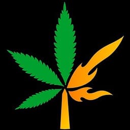 Firelight and Co. - Marquette logo