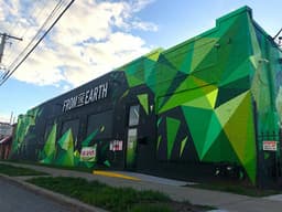 From The Earth Dispensary - Westside logo