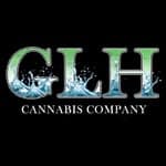 Great Lakes Holistics - Lansing logo