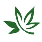 Hi-Roots Cannabis Co - Norman logo