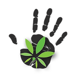 High 5 Headquarters - Durant logo