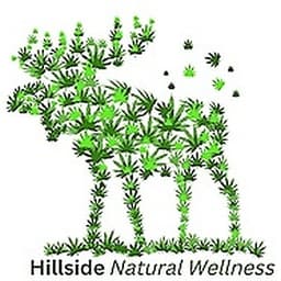 Hillside Natural Wellness logo