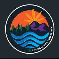 Lincoln City Collective - South logo
