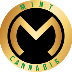 The Mint Cannabis - Portage logo