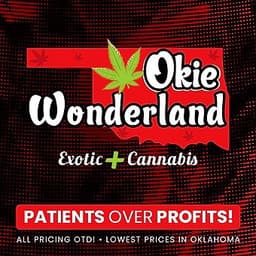 Okie Wonderland - OKC (MED) logo