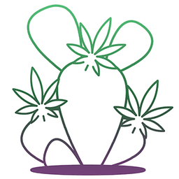 Opuntia Cannabis - Broadway logo