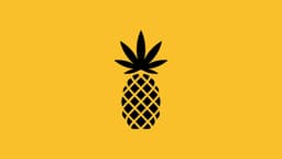 Pineapple Express - Hollywood logo