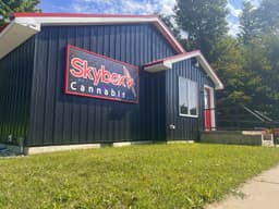 Skybox Cannabis - Fife Lake logo