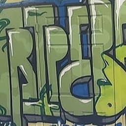 Stripeback Cannabis Co. logo