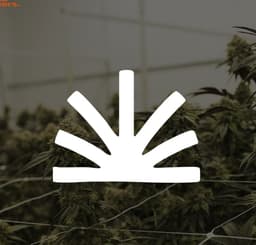 The Lakehouse Dispensary logo