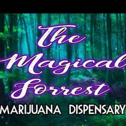 The Magical Forrest Marijuana Dispensary logo