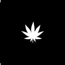 The New Amsterdam - Portland logo