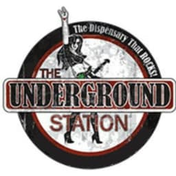 The Underground Station logo