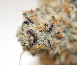 Three Rivers Dispensary Denver MED logo