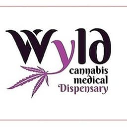 WYZE Cannabis Dispensary - Hernando logo