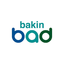 Bakin Bad
