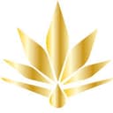 Bloom & Blaze