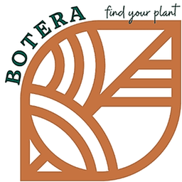 Botera - Union logo