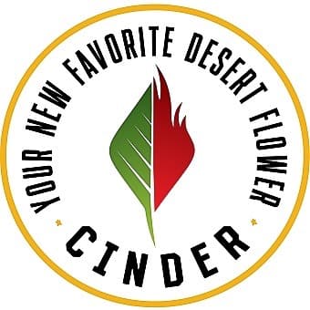 Cinder - 3rd St