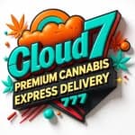 Cloud 7 logo