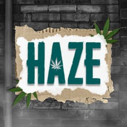 HAZE - Saratoga logo