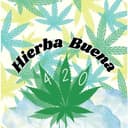 Hierba Buena