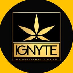 IGNYTE - Whitestone Queens logo