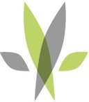 Kind Meds - Arizona (Med)