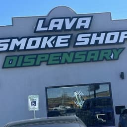 Lava Wellness logo