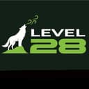 Level 28