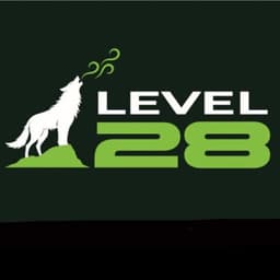Level 28 logo