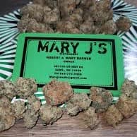 Mary J's logo