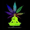 OrganiCann