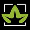 Plantae Bend