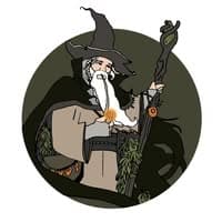Ragged Wizard