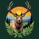 Rocky Mtn