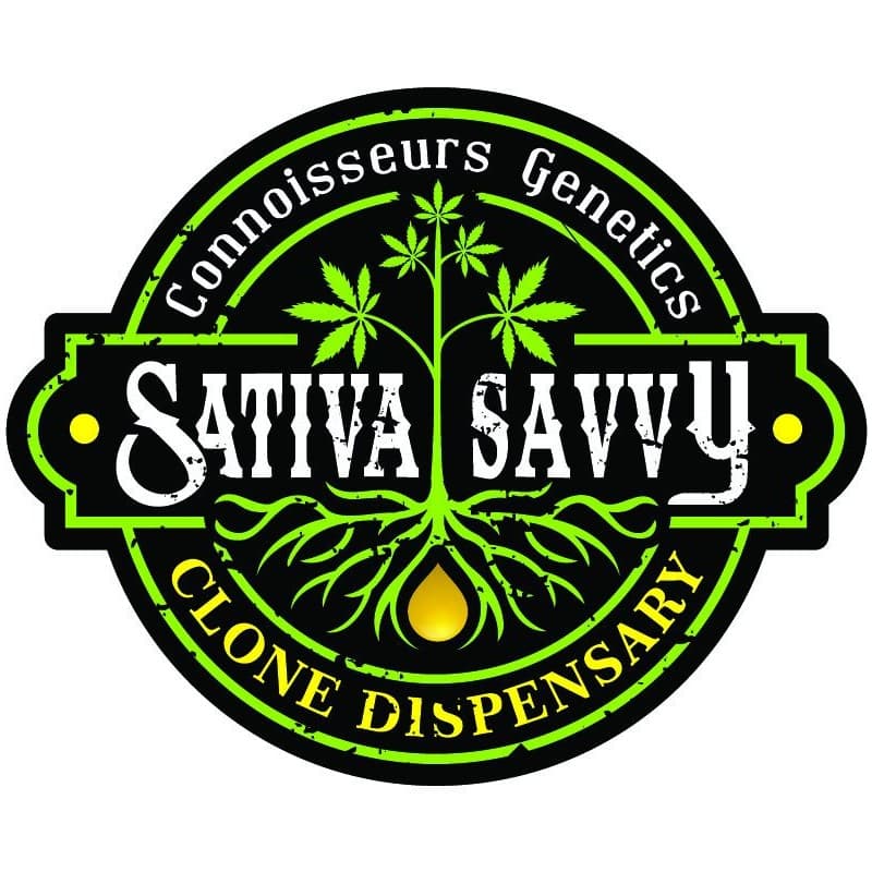 Sativa Savvy