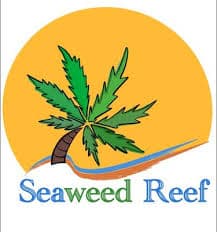 Seaweed Reef