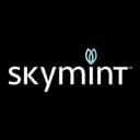 Skymint - Flint