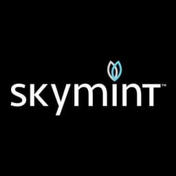 Skymint - Flint logo