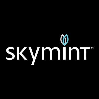 Skymint - Flint