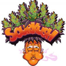 Sour Kush logo